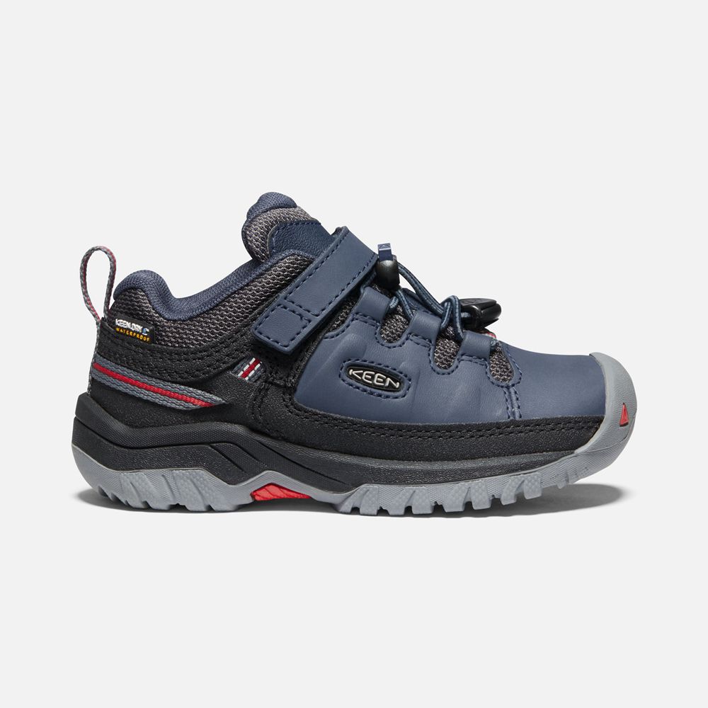 Keen Wandelschoenen Kinderen Blauw - Targhee Waterproof - 95421-EKRZ